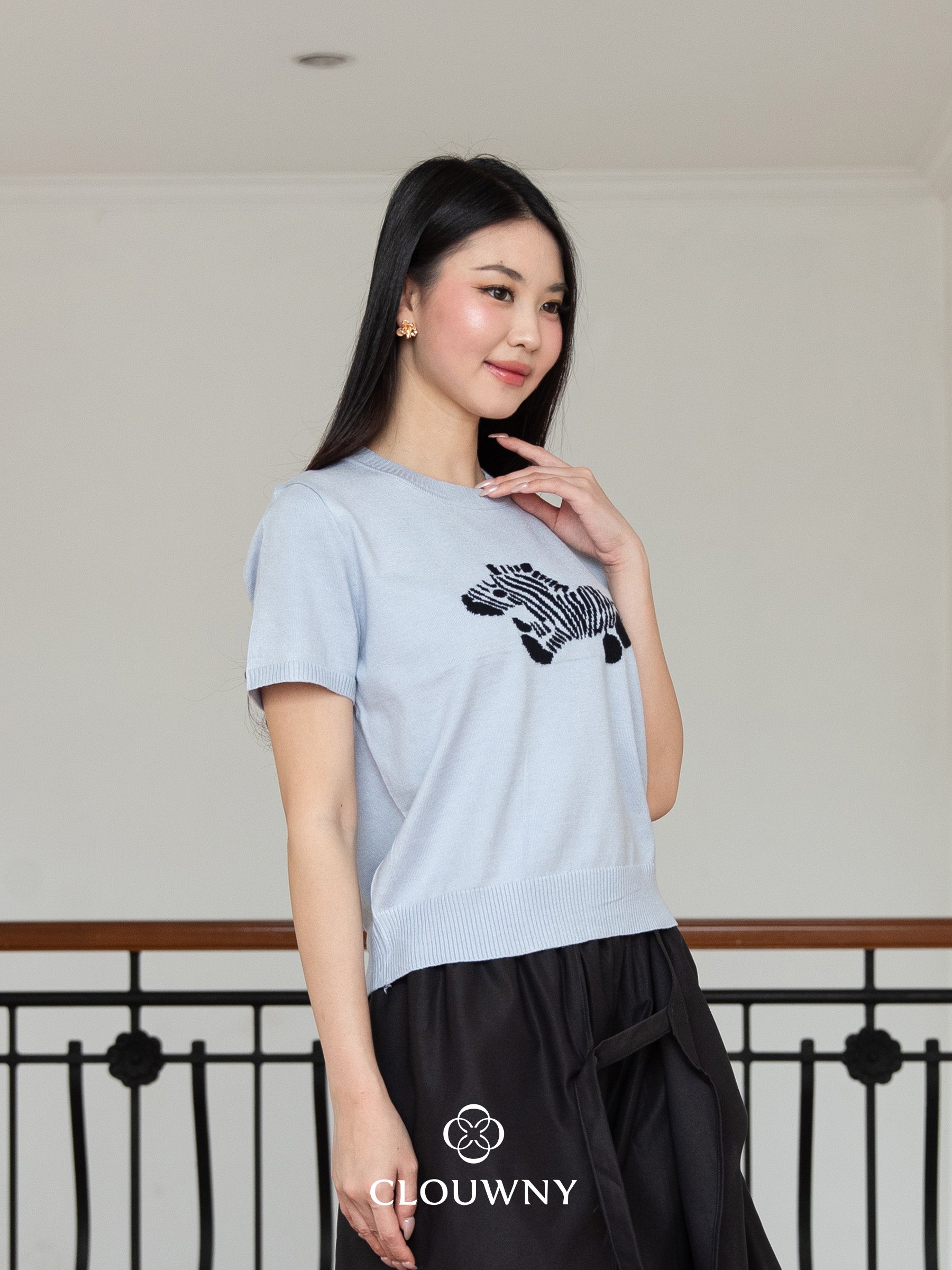 Zebra Knit Top - Blue